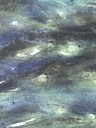 Bg1