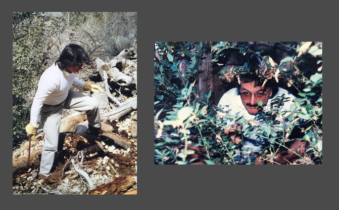 Dad in the shrubs